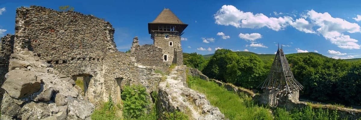 Цікаві факти про Невицький замок