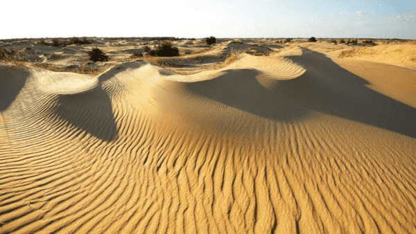 Олешківська пустеля є Національним природним парком