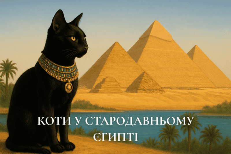 Між Нілом і таємницею- коти у Стародавньому Єгипті